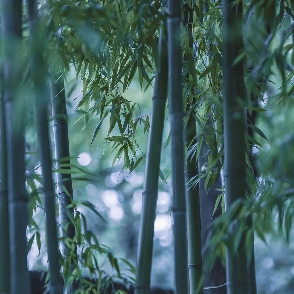 質感?原生石系列 | 1200×1800mm密縫連紋，開創無限世界(圖19)
